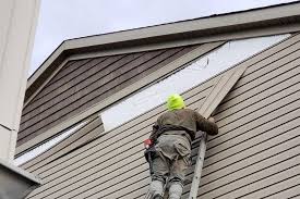 Best Custom Trim and Detailing for Siding  in Holly Springs, NC